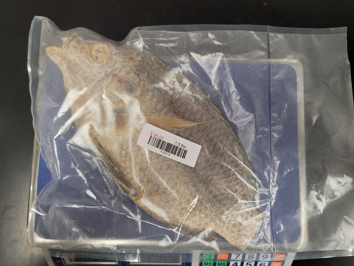 Salted Tilapia Kobi 1.5lbs